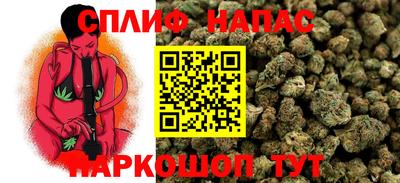 дмт Тула
