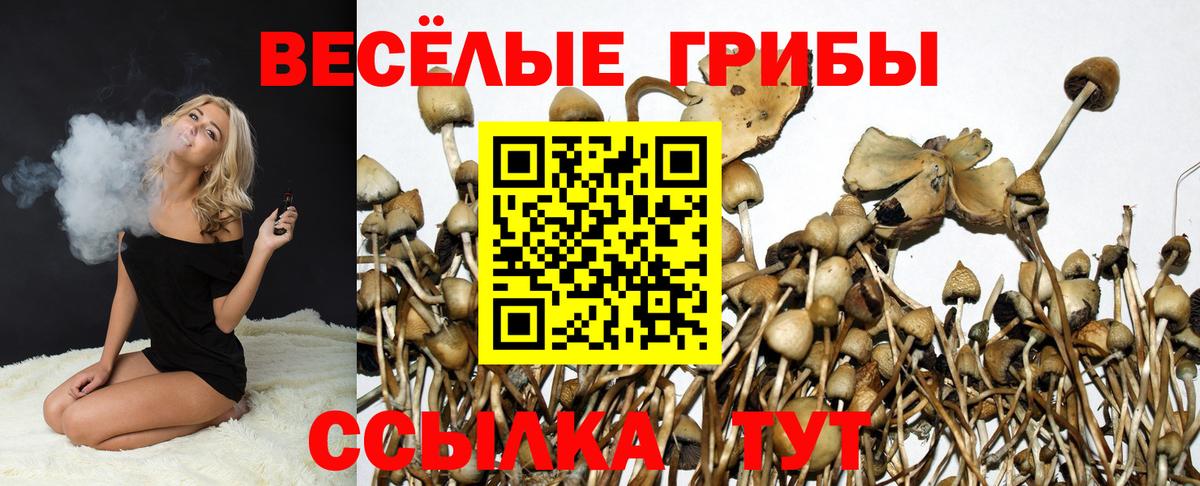 Галлюциногенные грибы прущие грибы  Вход с VPN  Усинск 